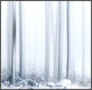Winter Trees
